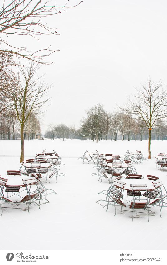 Eiszeit Restaurant Winter Schnee Baum Park kalt weiß Café Tisch Stuhl Wiese bedeckt kahl Einsamkeit leer Menschenleer Farbfoto Gedeckte Farben Außenaufnahme