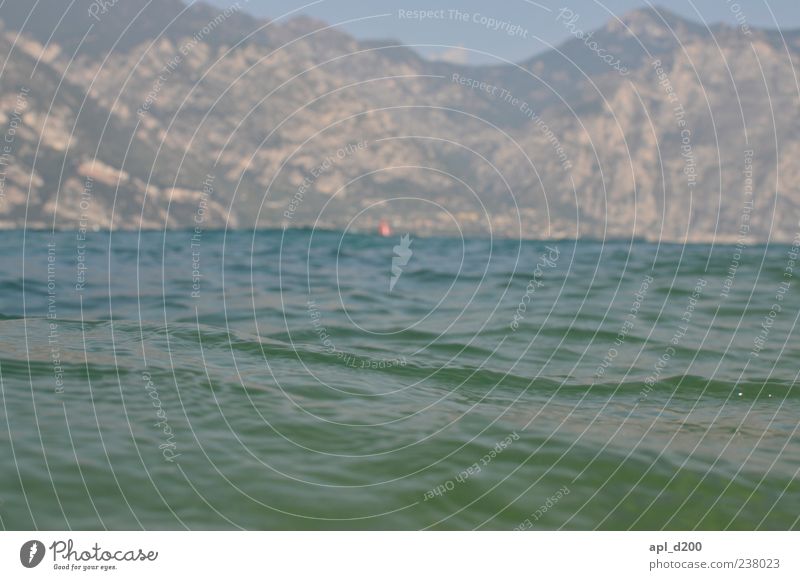 See ohne Boot Schwimmen & Baden Freizeit & Hobby Freiheit Sommer Sommerurlaub Umwelt Natur Gardasee kalt Freude Italien Berge u. Gebirge Farbfoto Außenaufnahme
