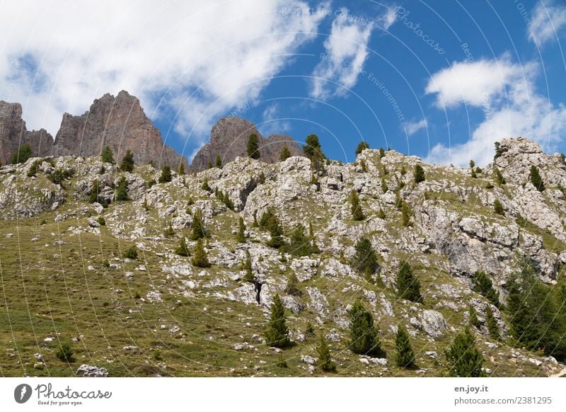 felsig Ferien & Urlaub & Reisen Ausflug Berge u. Gebirge wandern Umwelt Natur Pflanze Himmel Tanne Nadelbaum Fichte Wiese Felsen Alpen Dolomiten Gipfel Südtirol