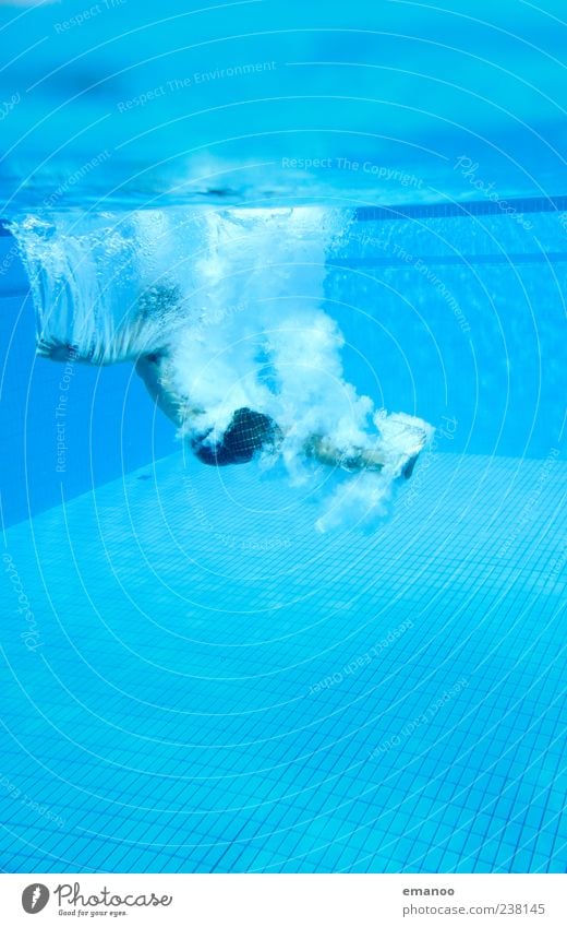 Luft holen Freizeit & Hobby Sommer Wassersport Schwimmen & Baden tauchen Schwimmbad Mensch maskulin Mann Erwachsene 1 Bewegung springen kalt nass blau