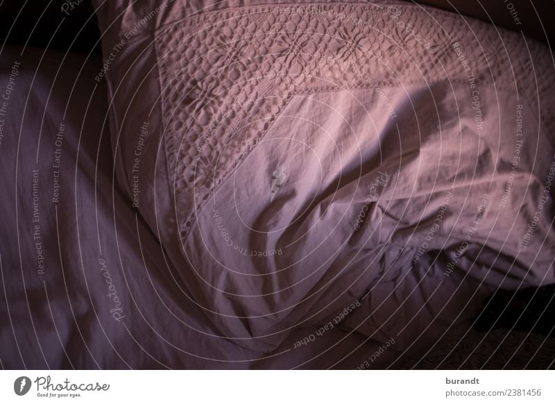 stimmungsvolles Bild eines Kopfkissens mit Spitze Kissen gemütlich Kuscheln zu hause bleiben zu Hause stayhome schlafen Bett Bettwäsche zerknautscht Blümchensex