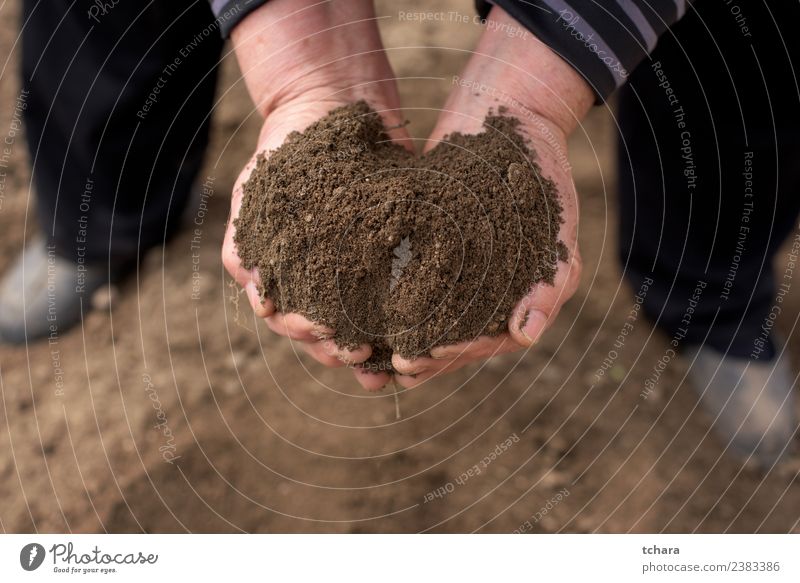 Rette die Natur Garten Arbeit & Erwerbstätigkeit Gartenarbeit Mensch Frau Erwachsene Mann Hand Finger Umwelt Erde Sand Wachstum dreckig nass natürlich braun