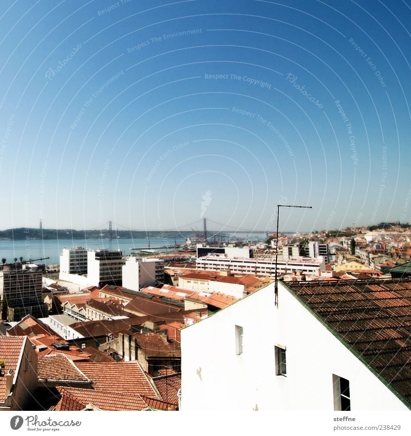 Diagonale, angedeutet Wolkenloser Himmel Sommer Schönes Wetter Lissabon Portugal Hauptstadt Haus Mauer Wand Fassade Fenster Sehenswürdigkeit Wahrzeichen Brücke