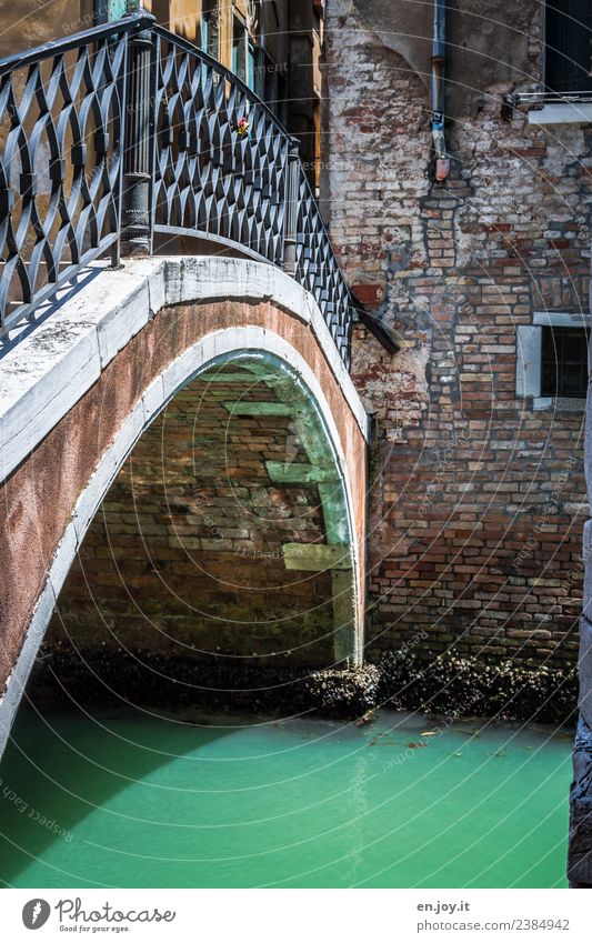 Brückenschlag Ferien & Urlaub & Reisen Tourismus Ausflug Sightseeing Städtereise Sommer Sommerurlaub Klima Klimawandel Kanal Venedig Italien Stadt Altstadt