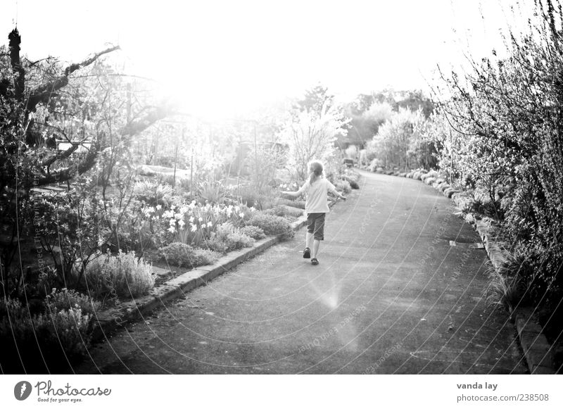 Unbeschwert Mensch Kind Mädchen 1 3-8 Jahre Kindheit Umwelt Natur Pflanze Frühling Sommer Schönes Wetter Baum Blume Gras Sträucher laufen frei Wärme