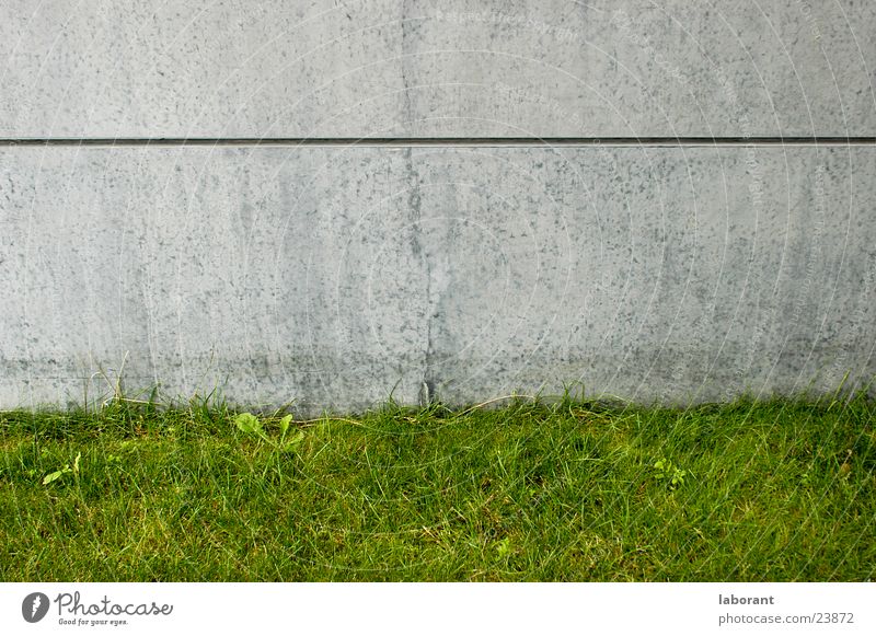 betongg Beton grau Gras Gebäude Wiese grün Mauer Wand Architektur