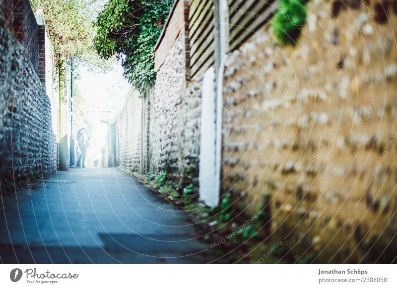 Gasse in Brighton, England Stadt Stadtrand ästhetisch laufen Mauer Englisch Wege & Pfade Fußgänger Fußgängerzone einzeln geradeaus Farbfoto Außenaufnahme