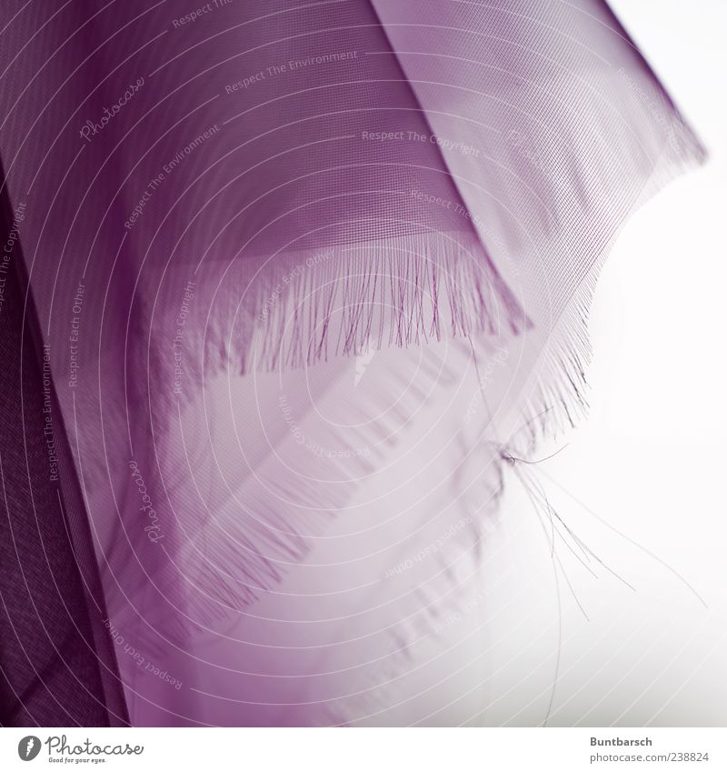 hängende Falten Stoff Tuch Faltenwurf Franse Textilien Accessoire Schal Kopftuch violett Farbfoto Außenaufnahme Nahaufnahme Detailaufnahme Makroaufnahme Tag