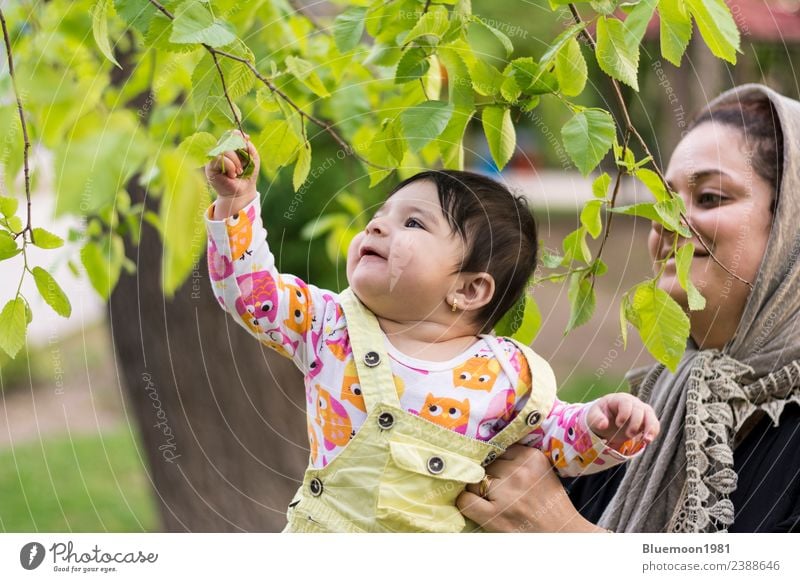 Das kleine Baby berührt frische Frühlingsblätter in der Umarmung ihrer Mutter. Lifestyle schön Wellness Kindererziehung Mensch feminin Junge Frau Jugendliche