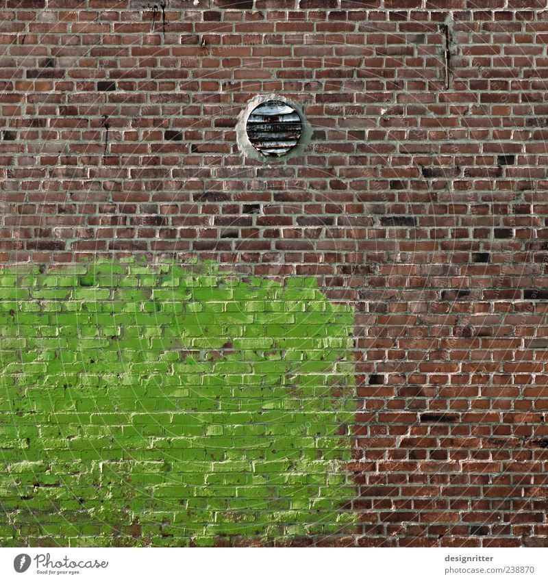 Frühling in Steinland Umwelt Natur Haus Gebäude Mauer Wand Lüftungsschacht Lüftungsklappe Lüftungsschlitz Backstein Ziegelbauweise grün standhaft Hoffnung