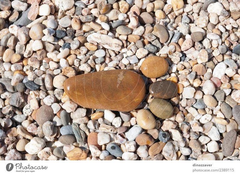 Steine in Form von Footprint Design Freude Ferien & Urlaub & Reisen Strand Mensch Fuß Natur Sand Felsen Pfote Rost Fußspur Zusammensein natürlich braun gelb