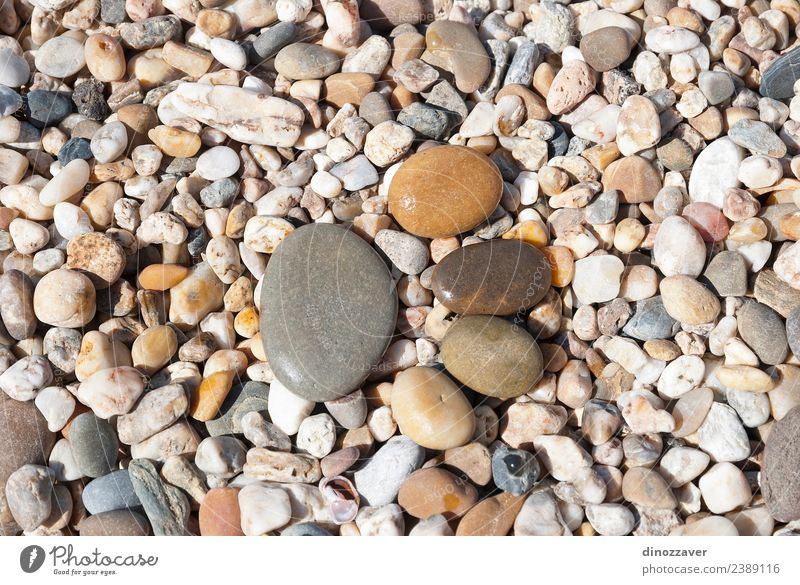 Steine in Form von Footprint Design Freude Ferien & Urlaub & Reisen Strand Mensch Fuß Natur Sand Felsen Pfote Rost Fußspur Zusammensein natürlich braun gelb