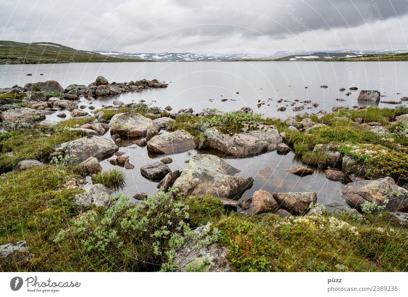 Norwegen Angeln Ferien & Urlaub & Reisen Tourismus Ausflug Abenteuer Ferne Freiheit wandern Umwelt Natur Landschaft Pflanze Urelemente Wasser Himmel Wolken