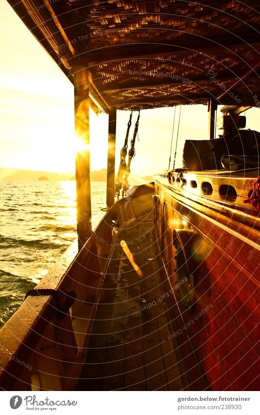 sundown Ferien & Urlaub & Reisen Ferne Freiheit Kreuzfahrt Sommer Sommerurlaub Sonne Meer Wellen Schifffahrt Bootsfahrt Jacht Segelschiff An Bord gelb gold