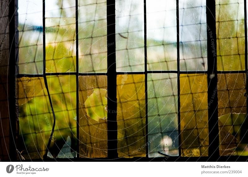 Tris.tesse Menschenleer Industrieanlage Fabrik Ruine Architektur Fenster alt ästhetisch gruselig kaputt trashig gelb gold grün Zerstörung trist
