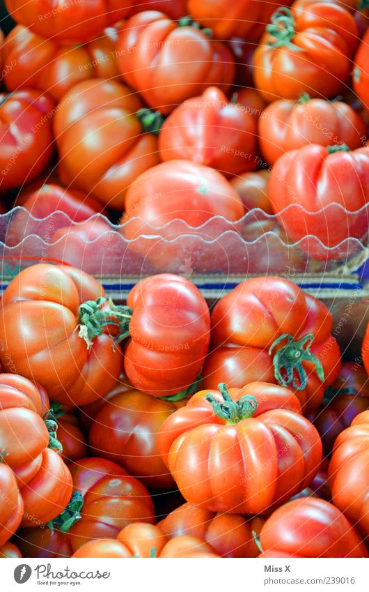 Tomaten Lebensmittel Gemüse Ernährung Bioprodukte Vegetarische Ernährung frisch lecker rund saftig rot Wochenmarkt Gemüsemarkt Gemüsehändler