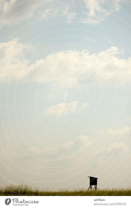 Hochsitz Natur Landschaft Himmel Wolken Sommer Gras Sträucher Menschenleer stagnierend Stimmung Farbfoto Außenaufnahme Textfreiraum oben Tag Ferne
