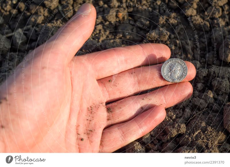 Römische Silbermünze (Denar) in der Hand eines Archäologen Reichtum Business Mensch Erwachsene Finger 1 18-30 Jahre Jugendliche Kunst Ausstellung Museum Umwelt