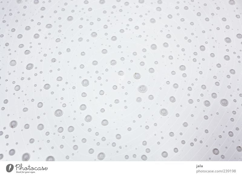 regentag Wasser Wassertropfen Regen nass grau weiß Farbfoto Außenaufnahme Menschenleer Hintergrund neutral Tag viele liegen Vor hellem Hintergrund