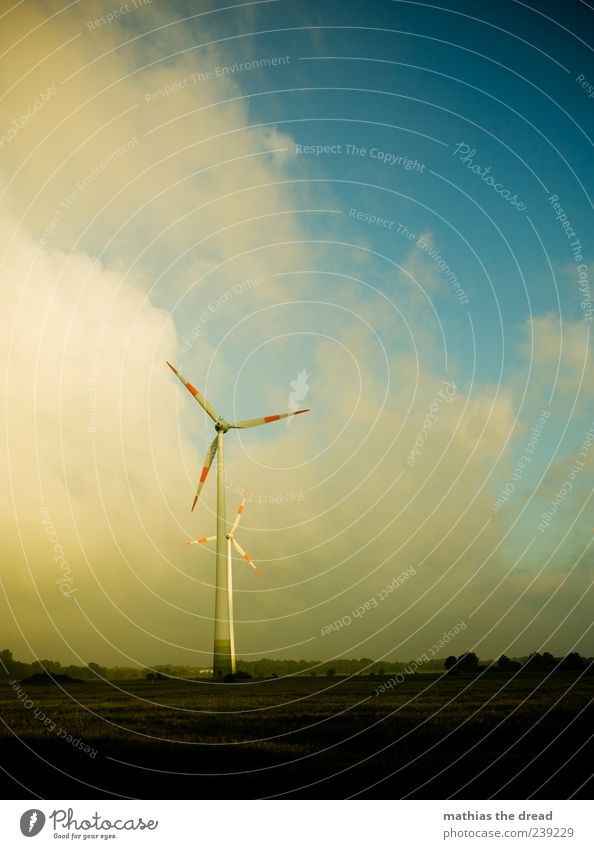 WINDRÄDER Technik & Technologie Fortschritt Zukunft Energiewirtschaft Windkraftanlage Energiekrise Umwelt Natur Landschaft Pflanze Himmel Wolken Horizont Wetter