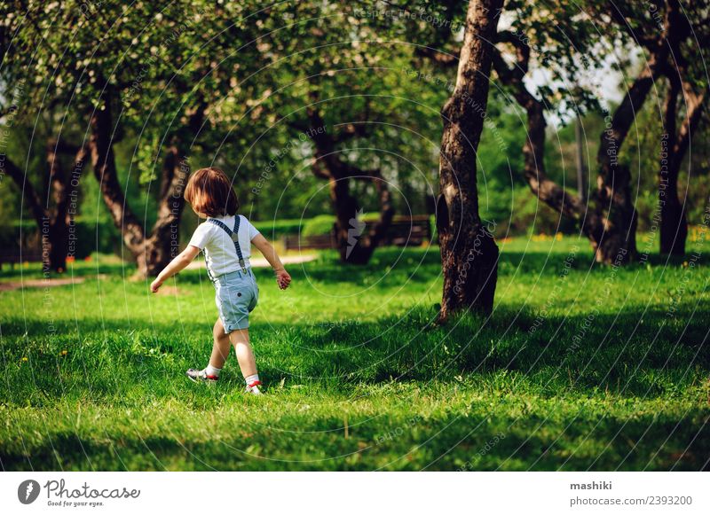 Kleinkind Kind Junge Bube Bube Allein Gehend Ein Lizenzfreies Stock Foto Von Photocase