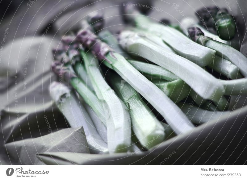 Spargel Lebensmittel Gemüse Bioprodukte ruhig Farbfoto Gedeckte Farben Außenaufnahme Textfreiraum links Kontrast Schwache Tiefenschärfe Zentralperspektive roh