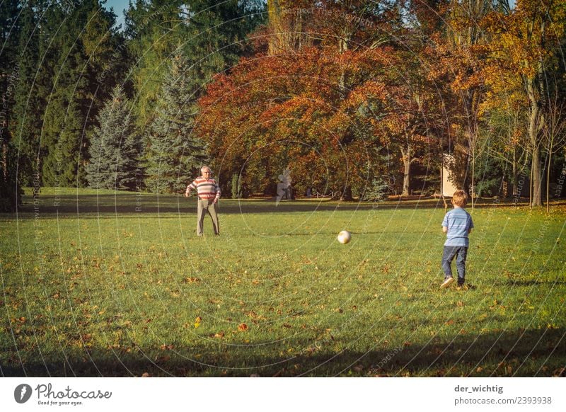 Opa & Enkel spielen Fußball Sport Mensch maskulin Kind Mann Erwachsene Großvater 2 3-8 Jahre Kindheit 60 und älter Senior Sonne Sommer Schönes Wetter Park Wiese
