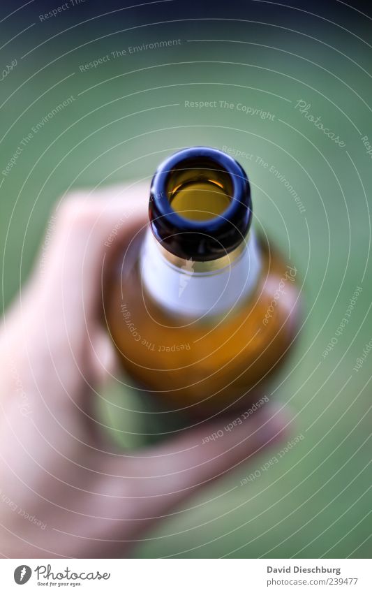 Don't drink & drive Lebensmittel Ernährung Getränk Erfrischungsgetränk Alkohol Bier Flasche grün Sucht Alkoholsucht Öffnung Flüssigkeit Hand Bierflasche