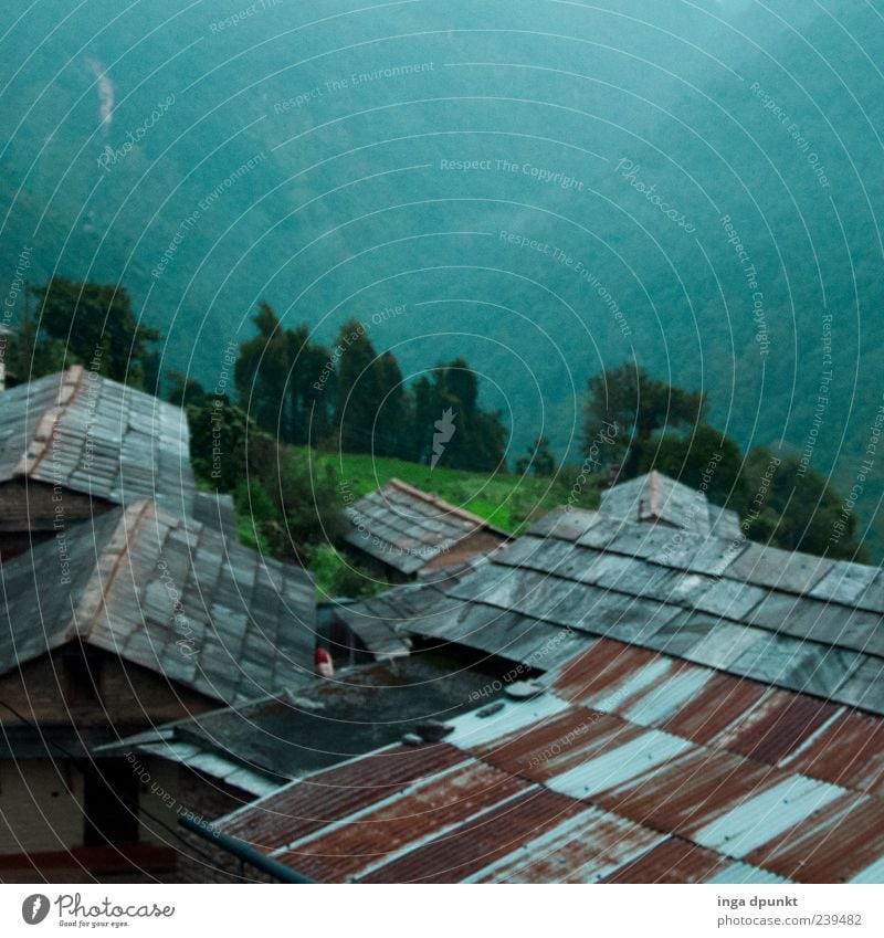 Tief in den Bergen Ferien & Urlaub & Reisen Umwelt Natur Landschaft Wald Berge u. Gebirge Nepal Annapurna Annapurna Trek Dorf Menschenleer Haus Hütte Dach