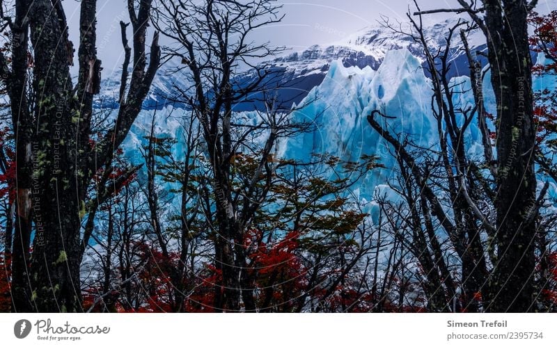 Perito Moreno II Tourismus Abenteuer Ferne Freiheit Expedition Winter Argentinien Landschaft Urelemente Herbst Eis Frost Schnee Baum Wald Berge u. Gebirge