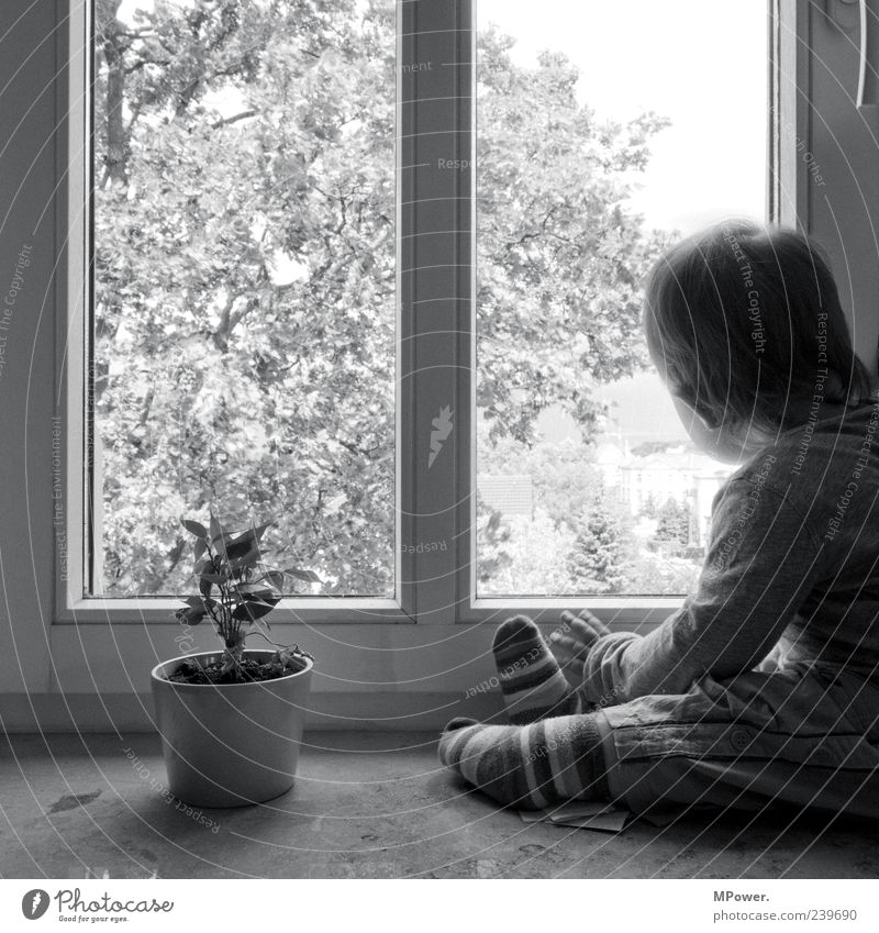 Aussicht Kind Mädchen Baum Blume Fenster beobachten entdecken klein grau schwarz weiß Fensterbrett Ringelsocken verträumt staunen Traurigkeit Junge Einsamkeit