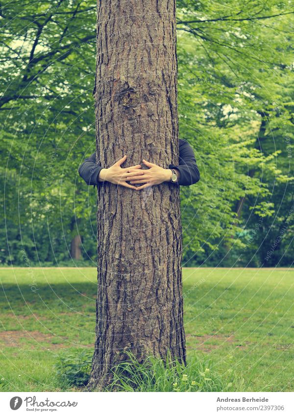 Junger Mann umarmt einen hohen Baum Getränk Leben harmonisch ruhig Sommer Mensch maskulin Jugendliche Hand Natur Park festhalten Liebe Umarmen Gesundheit Glück