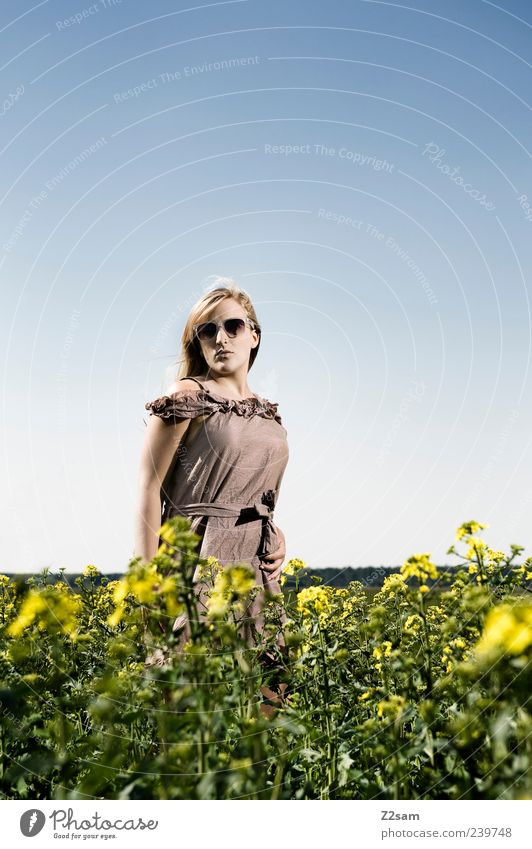 mei mädl elegant feminin Junge Frau Jugendliche 1 Mensch 18-30 Jahre Erwachsene Natur Landschaft Sonnenlicht Sommer Blume Feld Kleid Sonnenbrille blond