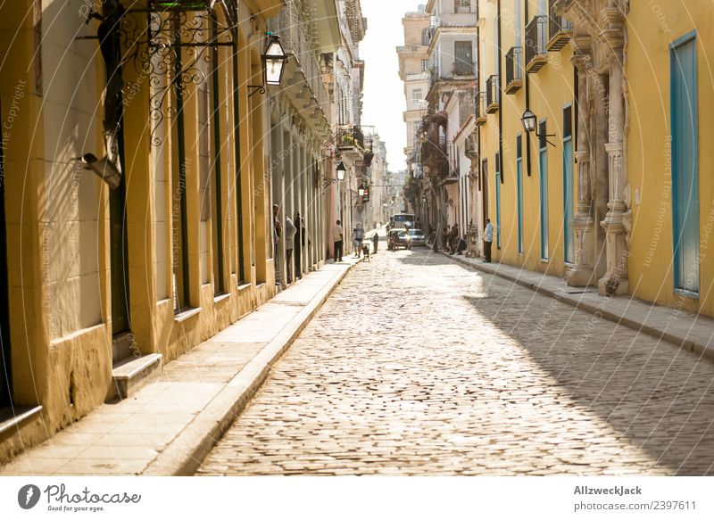 Straße in Havanna Kuba Kopfsteinpflaster Menschenleer Gasse Sonne Zenit Mittag Sommer Wärme ruhig Reisefotografie Ferien & Urlaub & Reisen Ferne Fernweh