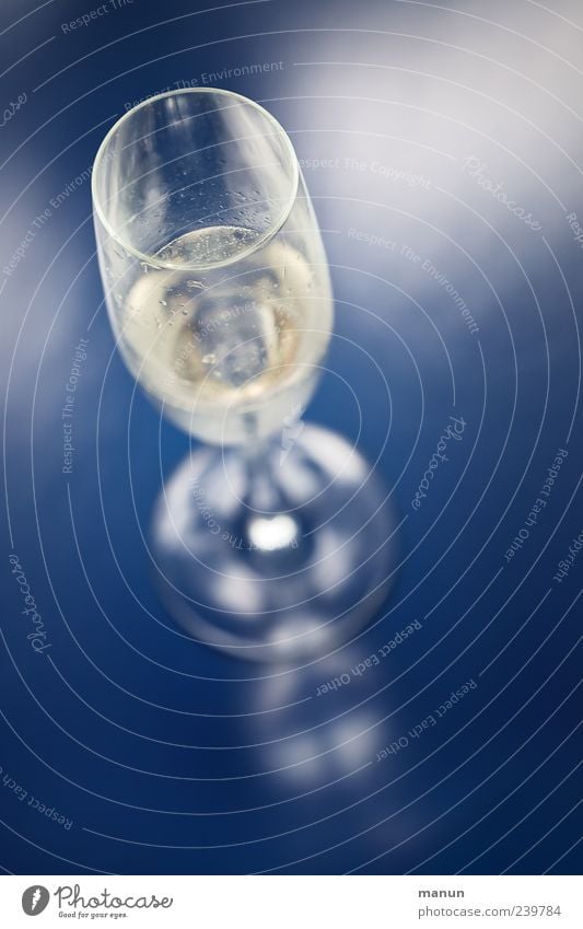 Sekt Getränk Erfrischungsgetränk Alkohol Spirituosen Wein Prosecco Champagner Glas Sektglas Lifestyle Feste & Feiern stehen authentisch einfach Flüssigkeit kalt