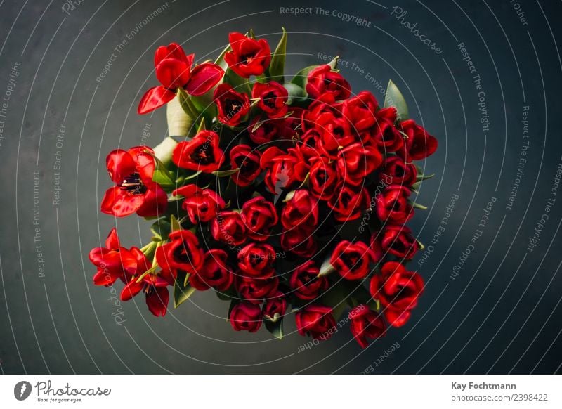 Ein Strauß roter Tulpen elegant harmonisch Dekoration & Verzierung Valentinstag Muttertag Pflanze Frühling Sommer Blume Blatt Blüte Blumenstrauß Blühend