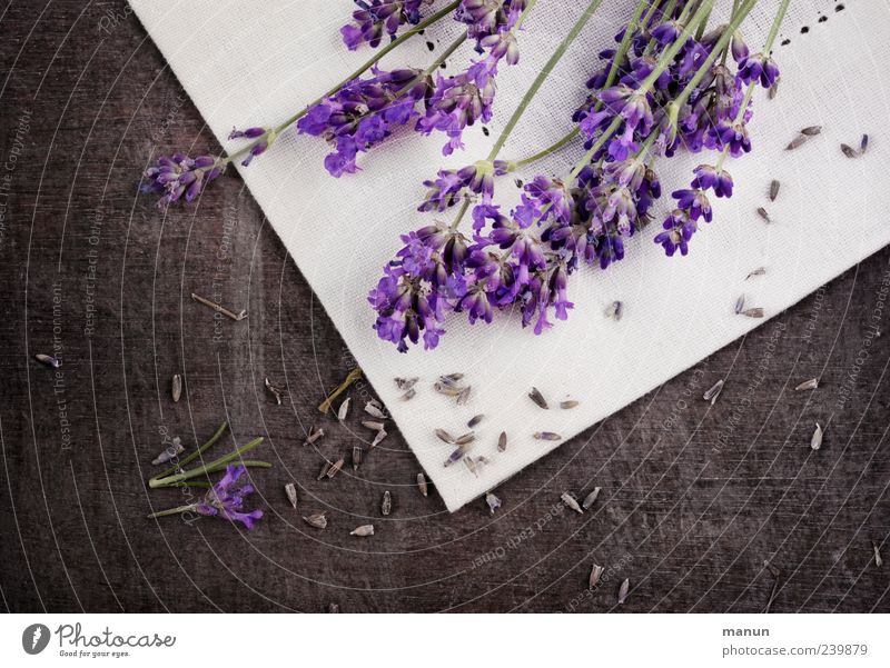 Lavendel rustikal Kräuter & Gewürze Heilpflanzen Dekoration & Verzierung Tisch Natur Pflanze Blume Blüte Nutzpflanze Holz Duft liegen authentisch einfach frisch