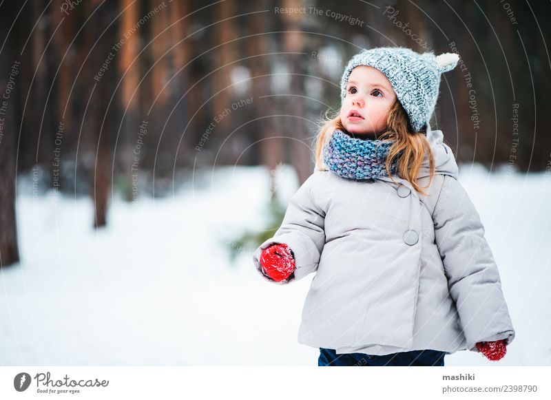 Baby Mädchen mit Strickmütze Wandern im Winterwald Lifestyle Freude schön Gesicht Spielen Ferien & Urlaub & Reisen Schnee Kind Kleinkind Kindheit Wetter Baum