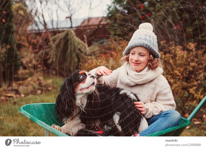 lustiges Kind Mädchen reitet mit ihrem Hund in der Schubkarre Lifestyle Freude Spielen Garten Freundschaft Kindheit Herbst Wetter Pullover Haustier Fröhlichkeit