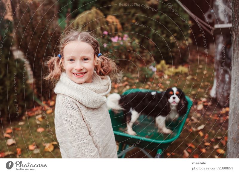 glückliches Kind Mädchen reitet mit ihrem Hund in der Schubkarre Lifestyle Freude Spielen Garten Freundschaft Kindheit Herbst Wetter Blatt Pullover Haustier