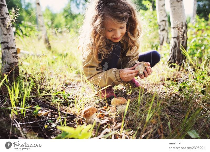 Kind Mädchen beim Sammeln von Waldpilzen 8-13 Jahre Kindheit Freude Fröhlichkeit Pilz pflücken wild Sommer Herbst laufen Baum Lifestyle erkunden reisen Natur