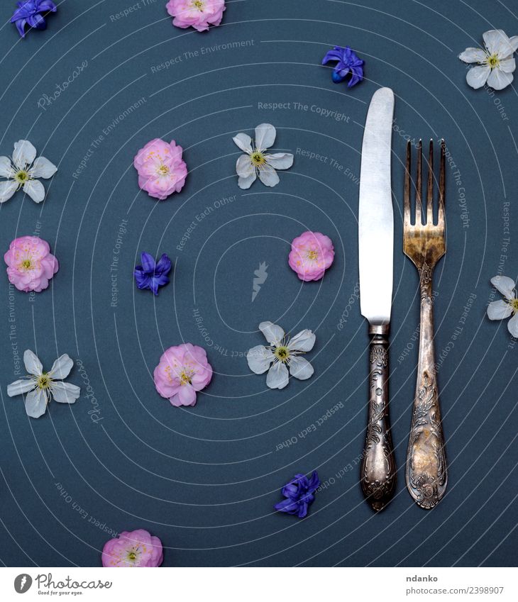 Eisen Vintage Besteck Gabel und Messer Essen Tisch Blume oben blau rosa schwarz weiß Hintergrund Lebensmittel Entwurf Gesundheit Silberwaren vorbei Kirsche
