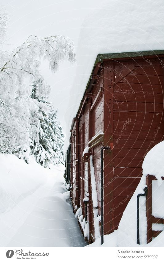 Polarexpress ruhig Winter Schnee Winterurlaub Güterverkehr & Logistik Klima Wetter Verkehr Verkehrswege Schienenverkehr Eisenbahn Güterzug