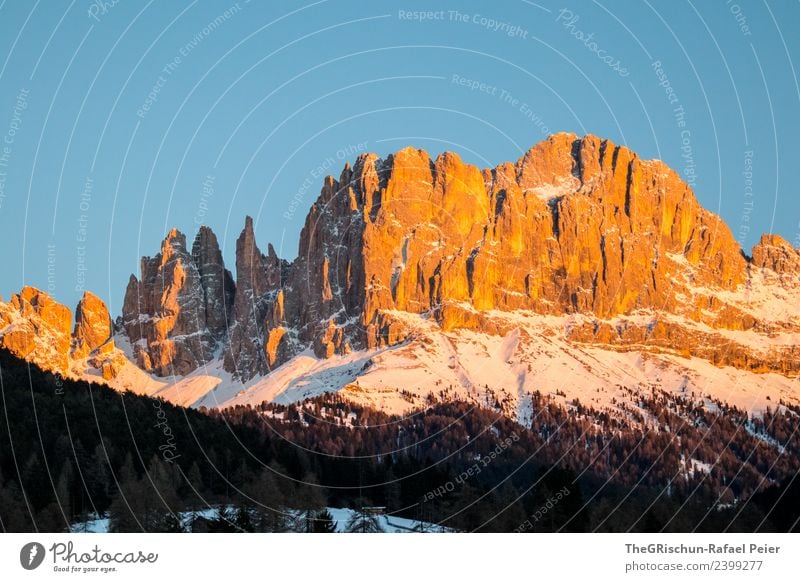 Dolomiten Umwelt Natur Landschaft blau braun gelb gold schwarz weiß Wald Berge u. Gebirge Südtirol Schnee Himmel Gipfel Farbfoto Außenaufnahme Menschenleer