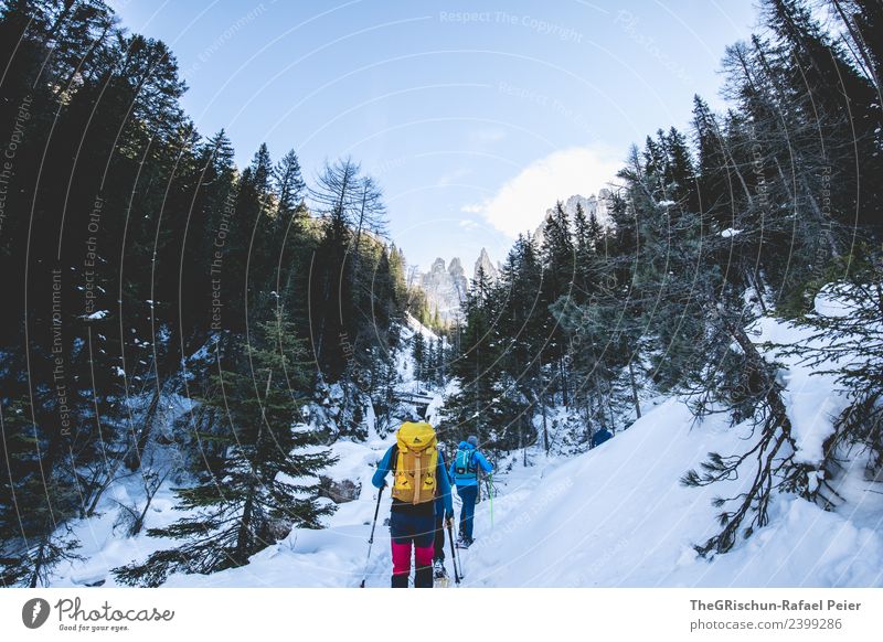 Schneeschuhlaufen Umwelt Natur Landschaft blau gelb rot schwarz weiß Berge u. Gebirge Wald Baum Schneeschuhe wandern Winter Dolomiten Ferien & Urlaub & Reisen