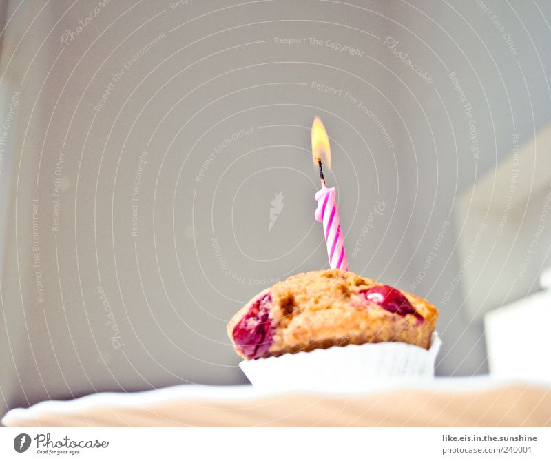 happy birthday! Kuchen Dessert Süßwaren Ernährung Duft klein lecker süß Fröhlichkeit Lebensfreude Muffin Geburtstagstorte Geburtstagsgeschenk Kerze weiß rosa