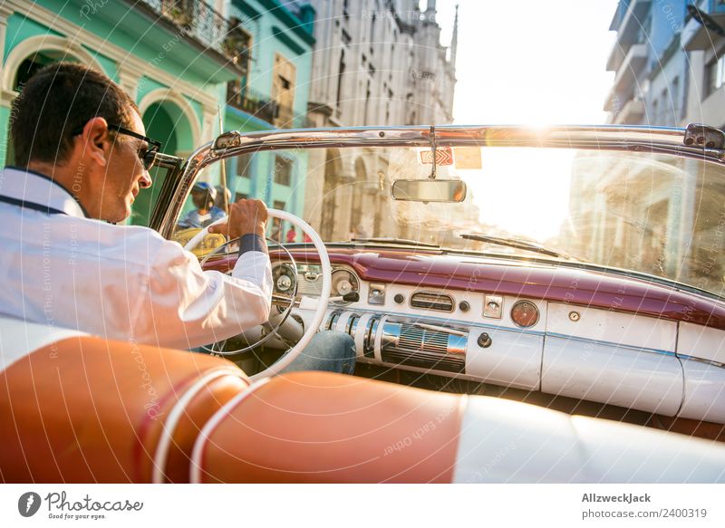 Mann am Steuer eines Oldtimers Kuba Havanna Insel Ferien & Urlaub & Reisen Reisefotografie Ausflug Sightseeing fahren Ausfahrt Rücksitz Straße Stadt