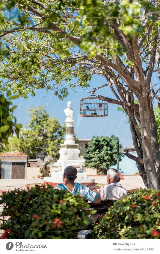 zwei Männer sitzen im Park mit einem Vogelkäfig Kuba Trinidad Patriotismus Sozialismus Ferien & Urlaub & Reisen Reisefotografie Fernweh Erholung Pause ausruhend