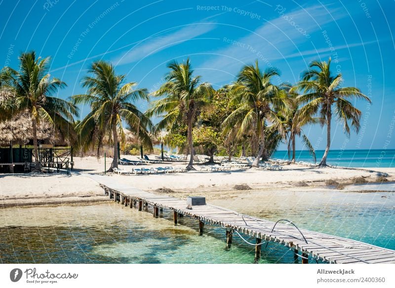 paradiesische Insel mit Palmen und Steg Tag Menschenleer Paradies Anlegestelle schön traumhaft Wasser Meer maritim Blauer Himmel Wolkenloser Himmel Sommer