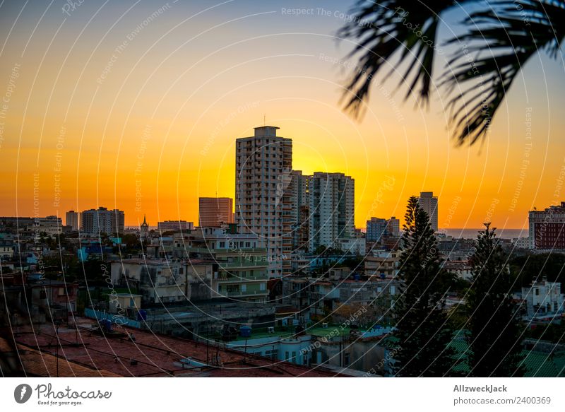 Havanna Panorama Kuba Panorama (Aussicht) Sonnenuntergang Sommer Postkarte Ferien & Urlaub & Reisen Abenddämmerung Skyline Menschenleer Palme Insel